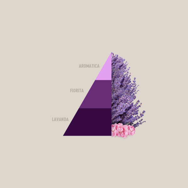 Aromatic Lavender - Sacchetti Profumati Multiuso