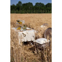 Tovaglietta americana Floret Full Blanc Mariclò - Giallo
