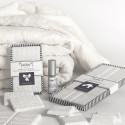 Profumo concentrato per gessi 5ml - Antoinette