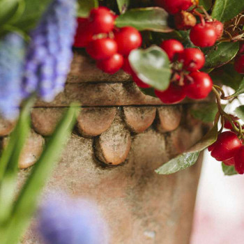 Vaso in terracotta Ø 16 cm -  2